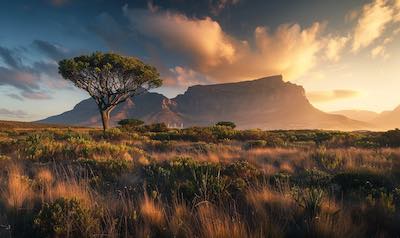 Südafrika Landschaft und Natur