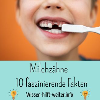 Milchzähne - 10 faszinierende Fakten die Eltern wissen sollten